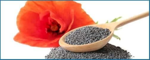 California Poppy - natural nerve relaxant and sleep support